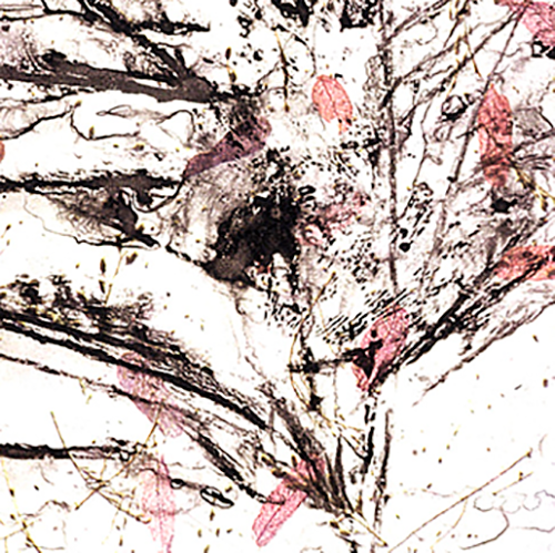 Harveys%20Pond%203%20FanTH