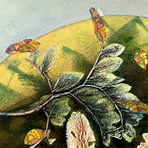 placeholder image-sq