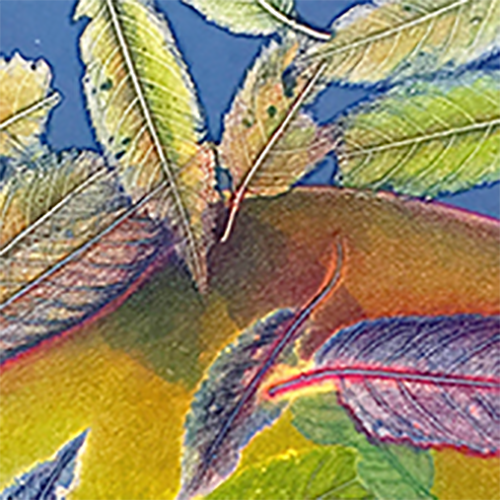 placeholder image-sq