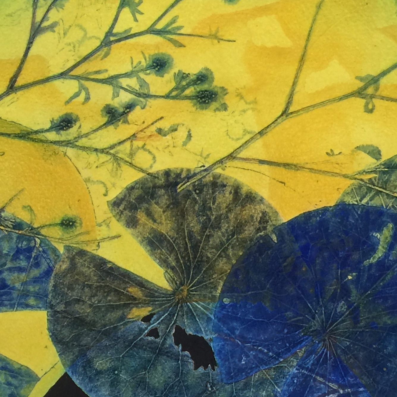 Harveys%20Pond%203%20FanTH