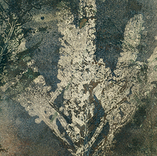 placeholder image-sq