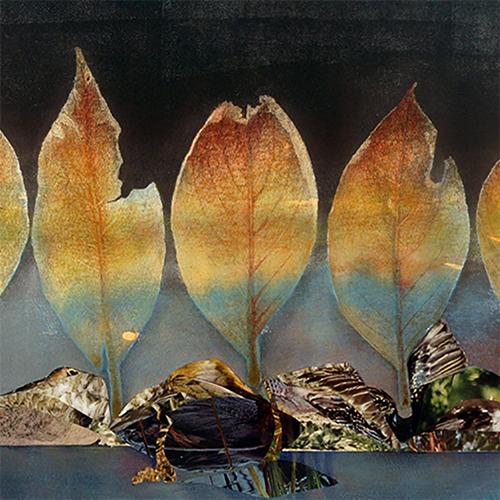 placeholder image-sq