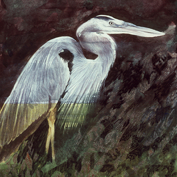 placeholder image-sq