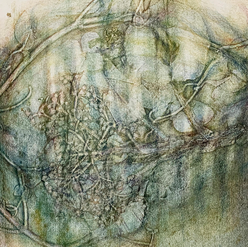 placeholder image-sq