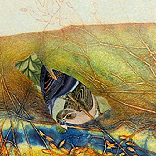 placeholder image-sq